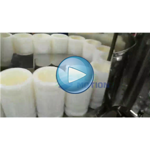 雞翅高速真空包裝機(jī)，每分鐘100包，溫州裕東