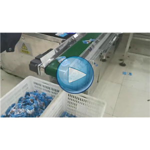 魷魚仔給袋式真空包裝機，人工投料，溫州裕東