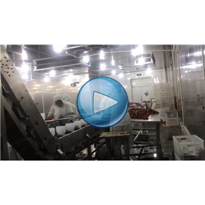 牛肉給袋式真空包裝機(jī)，碗式提升機(jī)，溫州裕東