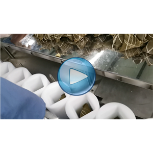 粽子真空包裝機(jī)，人工投料，溫州裕東