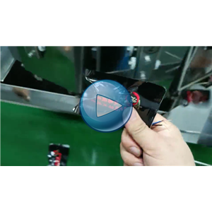 蜀香牛肉，高速給袋式真空包裝機(jī)，每分鐘80包