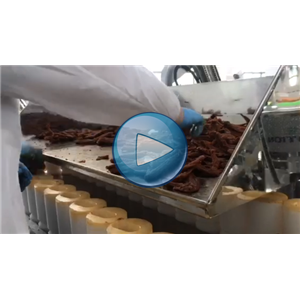 鴨翅，給袋式真空包裝機(jī)，人工投料，溫州裕東