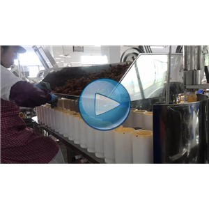 雞腿給袋式包裝機，雙轉(zhuǎn)盤真空包裝設備