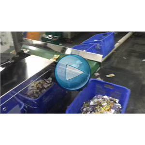 鵪鶉蛋，高速給袋式真空包裝機，全自動下料