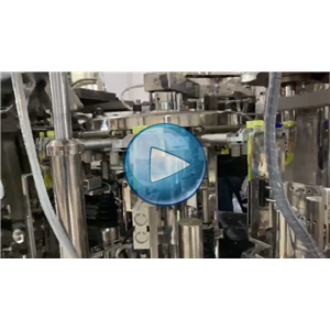 雙條豆干高速給袋式真空包裝機(jī)，90包每分鐘，溫州裕東