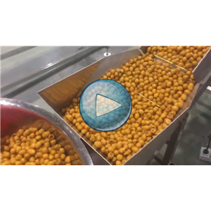 無殼鵪鶉蛋兩枚，高速包裝機，一分鐘75包