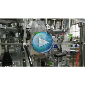 衛(wèi)龍魔芋粉絲，給袋式包裝機(jī)，碗式提升機(jī)