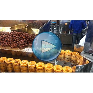 豆腐干給袋式真空包裝機，人工投料，高速90包/分鐘