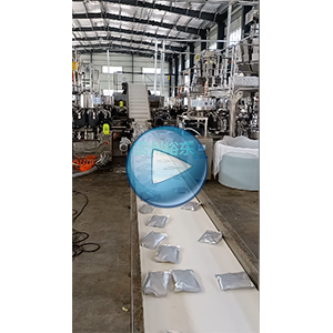 藕帶給袋真空包裝一體機(jī)，48包/分鐘