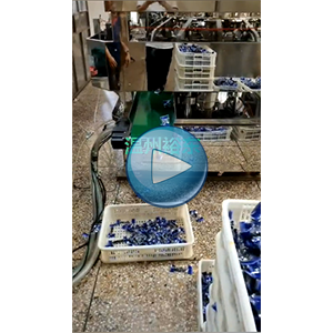 牛肉干真空包裝機(jī)，工作車間視頻