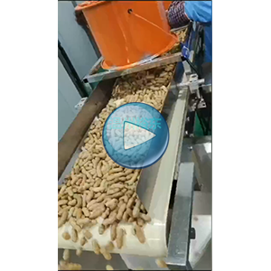 帶殼花生包裝機(jī)|給袋式包裝機(jī)|全自動(dòng)真空包裝機(jī)