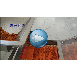 土豆塊包裝機|土豆粒包裝機|給袋式真空包裝機