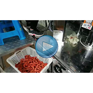 鴨掌包裝機|給袋式包裝機|真空包裝機|環(huán)形下料器