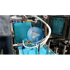 萵筍真空包裝機|全自動給袋式包裝機|生產(chǎn)車間包裝視頻