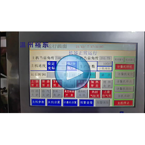 鹵蛋給袋式真空包裝機+環(huán)形下料器