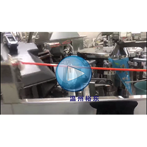 三角袋蝦滑包裝機，旋轉(zhuǎn)給袋機