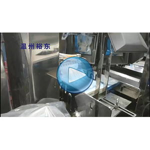 500克蝦滑全自動給袋式真空包裝機