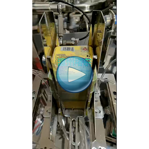 鹵蛋給袋式真空包裝機(jī)，高速112包/分鐘