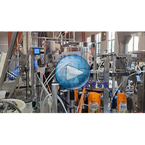 手剝筍|給袋機真空包裝視頻|廠家實拍