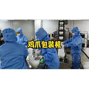 無(wú)骨雞爪真空包裝機(jī)