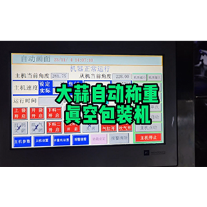 大蒜自動(dòng)稱(chēng)重真空包裝機(jī)